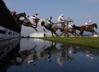 cheltenham-festival-horseracing