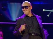 pitbull