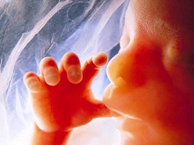 UK Hospitals Incinerate Aborted Fetuses to Heat Buildings, Finds Investigation