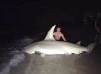 giant-hammerhead-weighing-700-pounds-caught-by-students-off-florida-beach-video