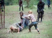 the-walking-dead