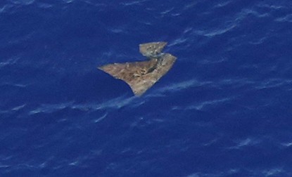 Malaysian Airlines flight MH370 search: An object floats in the Indian Ocean. (Photo Reuters)