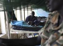 world-health-day-2014-who-highlights-on-preventing-dengue-malaria-and-other-vector-borne-diseases-reuters