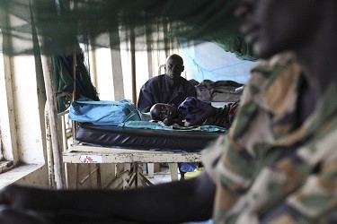 World Health Day 2014: WHO Highlights on Preventing Dengue, Malaria and Other Vector-Borne Diseases (Reuters)