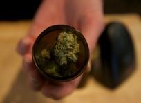 marijuana-buds-are-seen-at-the-quotoregon039s-finestquot-medical-marijuana-dispensary-in-portland