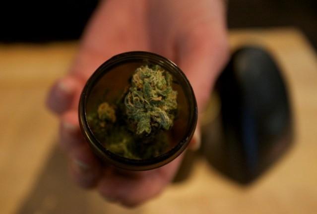 Marijuana buds are seen at the Marijuana buds are seen at the