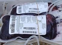 first-artificial-blood-cells-soon-be-manufactured-in-industrial-scale-wikimedia-commons-montuno