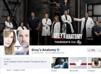 greys-anatomy-facebook-screengrab