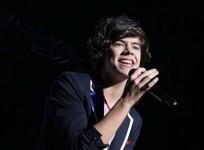 harry-styles-photo-wikimediacommons-evarinaldi