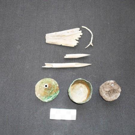 The working tools of a scriber whose tomb was discovered at the ancient Egyptian city of Oxyrhynchus (Photo Credit: University of  Barcelona)