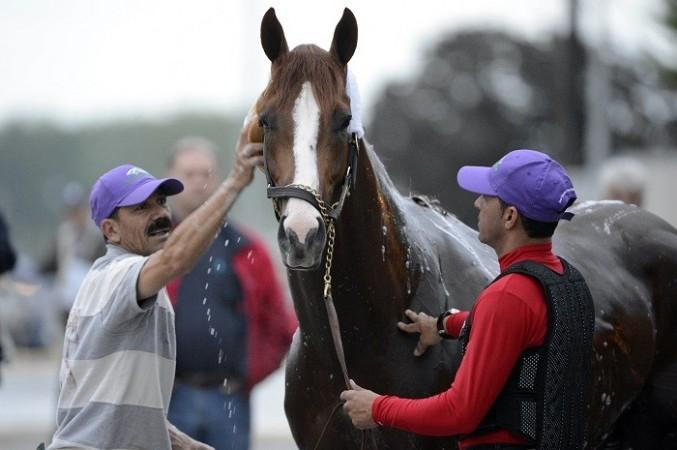 California Chrome starts as the clear favourite in the Kentucky Derby. Reuters California Chrome Kentucky Derby