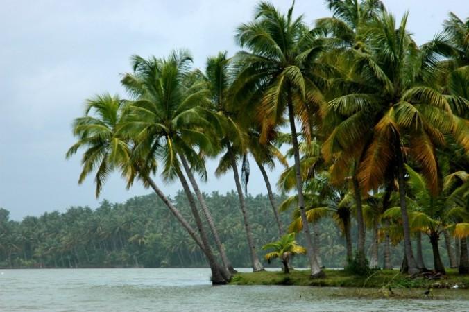 Kerala Backwaters