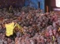 turkey-alcohol-laws-threaten-wine-making-industry