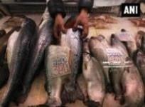 eating-too-much-fish-detrimental-to-health