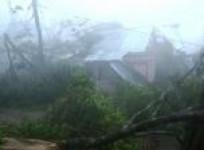 images-of-storm-damage-in-philippines