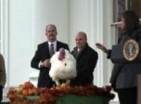 us-president-barack-obama-pardons-thanksgiving-turkey