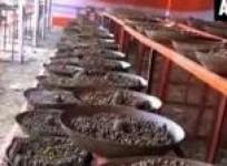 devotees-make-over-ten-million-shiva-idols-for-world-peace