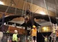 giant-eagles-in-nzealand-airport-to-mark-hobbit-ii-release