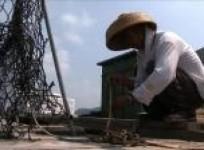 hong-kongs-trawlermen-diversify-as-fish-stocks-dwindle