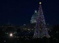 speaker-boehner-lights-us-capitol-christmas-tree