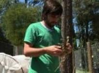 the-cultivation-of-cannabis-for-personal-use-in-uruguay