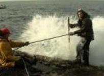 spain-barnacle-pickers-risk-lives-to-net-christmas-treat