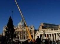 giant-christmas-tree-set-up-on-vatican-square