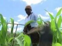 mandelas-homeland-a-microcosm-of-south-africa