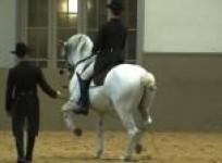 viennas-historic-spanish-riders-trot-into-the-21st-century