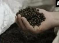 merely-calling-regular-coffee-eco-friendly-can-make-it-taste-better