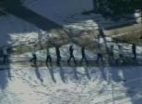 two-injured-in-us-school-shooting-alleged-gunman-dead