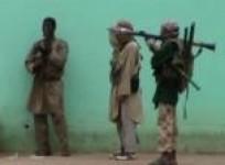 2013-marked-by-surge-in-islamist-militancy-in-africa