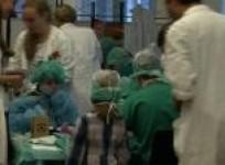 austrian-teddy-bear-clinic-aims-to-beat-hospital-fears