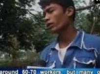 tea-growers-in-assam-face-threats-from-militant-outfits