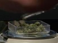 eager-customers-line-up-outside-colorado-marijuana-shops