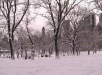 snowstorm-slams-northeastern-united-states