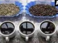 moderate-coffee-consumption-not-linked-to-dehydration