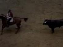 famous-spanish-bullfighter-celebrates-win-in-medellin-colombia
