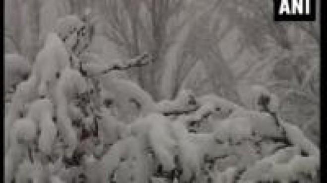 Fresh snowfall in Kashmir blocks national highway