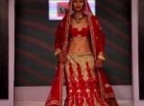i-want-to-work-with-salman-khan-actor-monica-singh