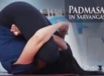 padma-sarvangasana-lotus-in-shoulderstand