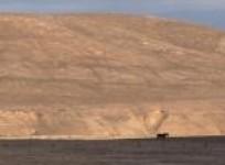 ranchers-pray-for-rain-in-drought-hit-california