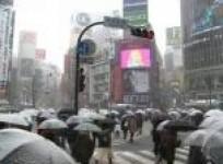 transport-chaos-as-heavy-snow-hits-tokyo