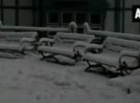 heavy-snowfall-draws-delighted-tourists-to-hilly-regions-of-shimla