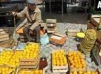 eating-citrus-foods-can-help-ward-off-stroke-risk