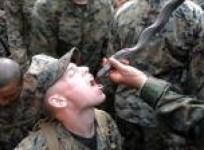 marines-drink-cobra-blood-in-thailand-military-drill