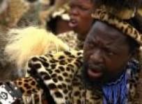 zulu-worshippers-don-fake-fur-to-save-south-african-leopards