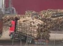 romania-hopes-to-curb-massive-deforestation
