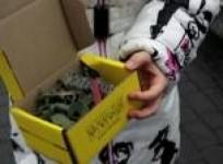 ukrainian-children-send-president-putin-toy-soldiers