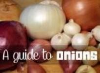 a-guide-to-onions